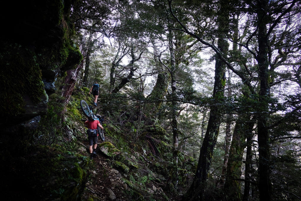 Climbing the last bit up to Richmond Saddle