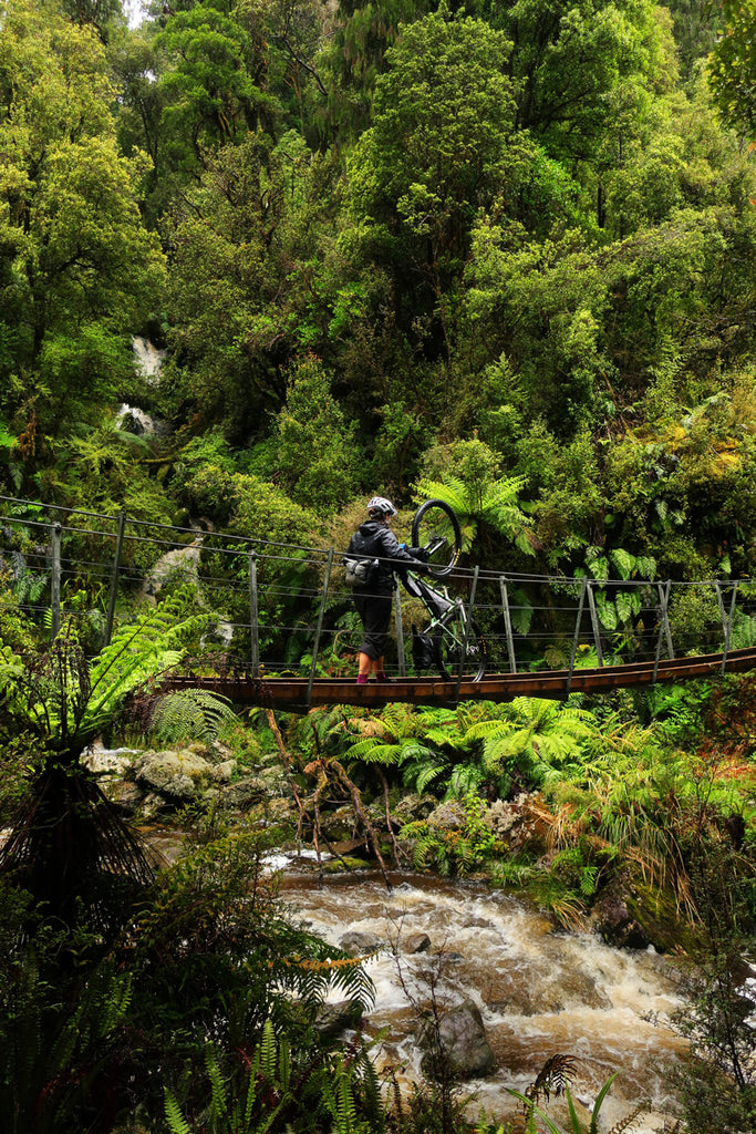 First bridge on the Paparoa track