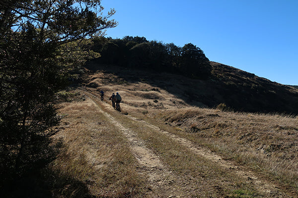 Once the purpose built climbing track finishes there is a short 4WD section to the top of the ridge