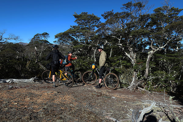 Maitland Ridge Trail