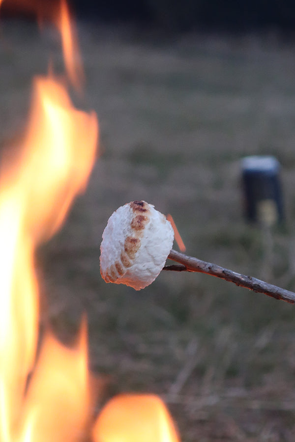 Would it be a trip without toasted marshmallows?