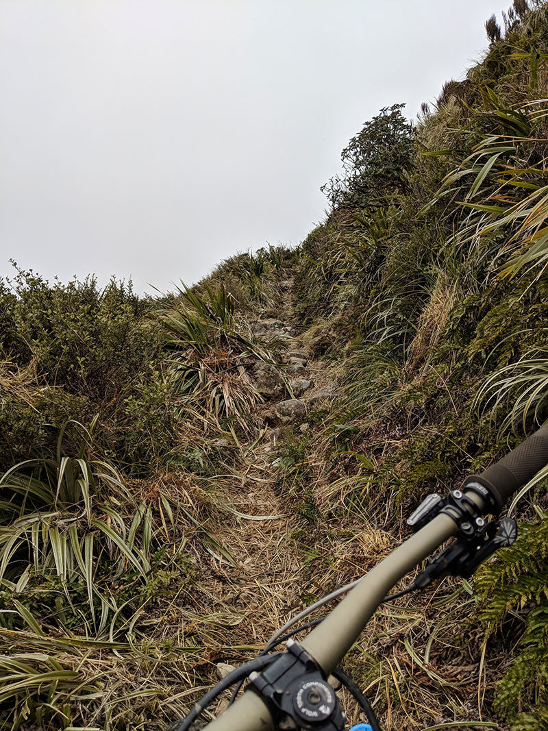 Nice singletrack