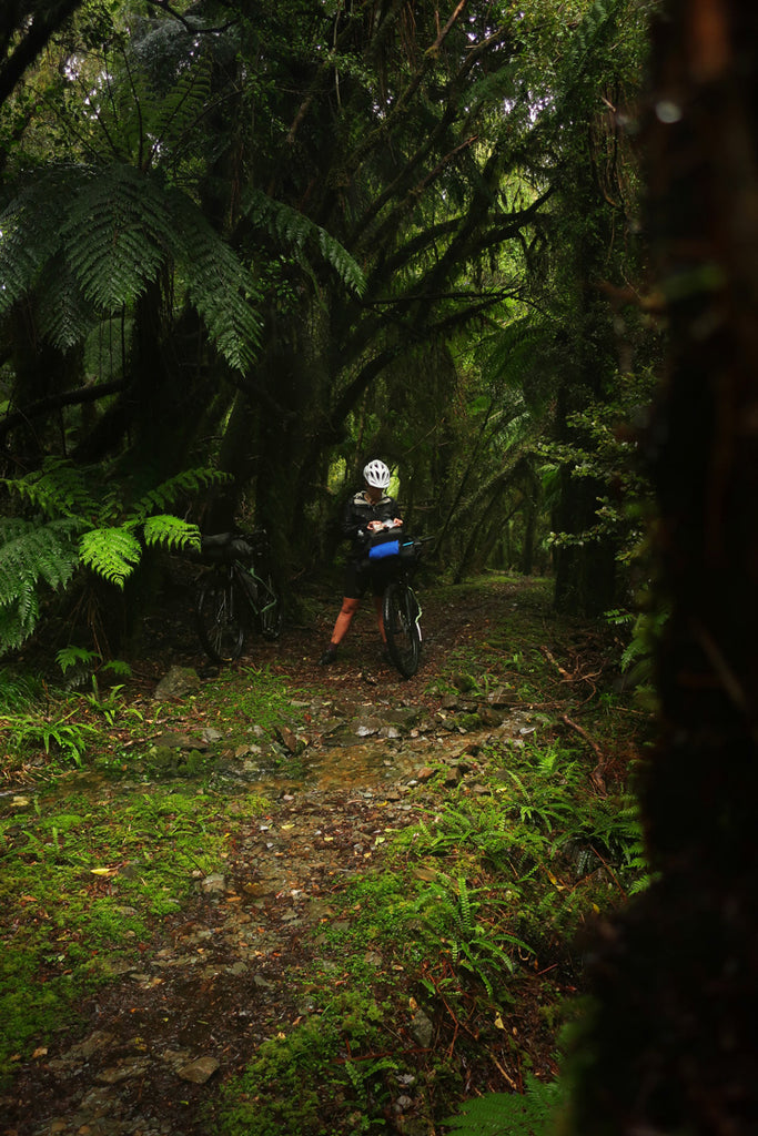 Food break on the Paparoa track