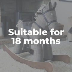 Rocking horses for 18 months old
