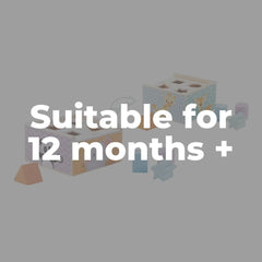 Wooden Toys for 12 months old