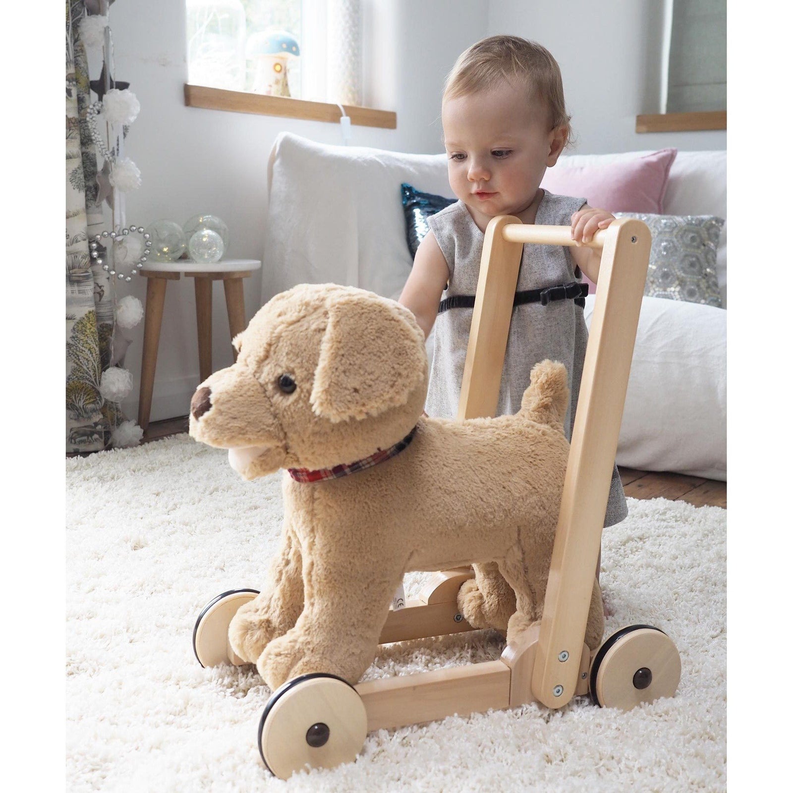 Dexter Dog Push Along Baby Walker 