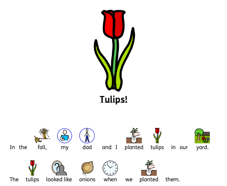 Tulips - Story and Word Search