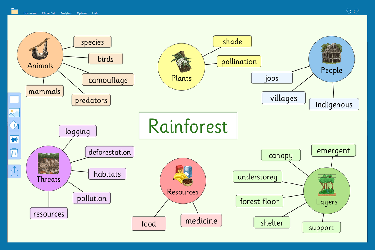 Mindmap for writing about rainforests