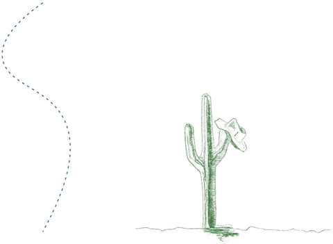 illustration of cactus