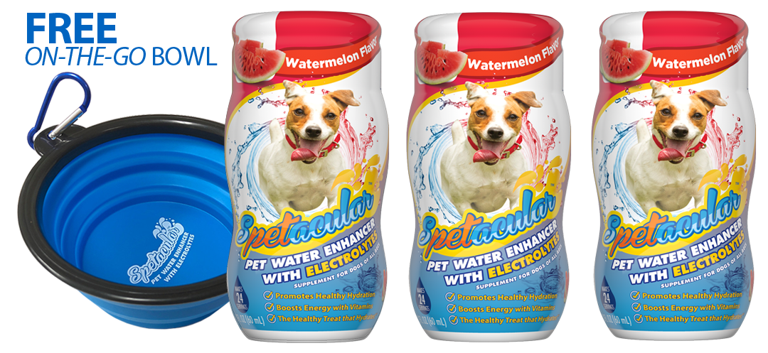how do i flavor my dogs water