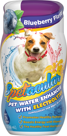 dog vitamin water