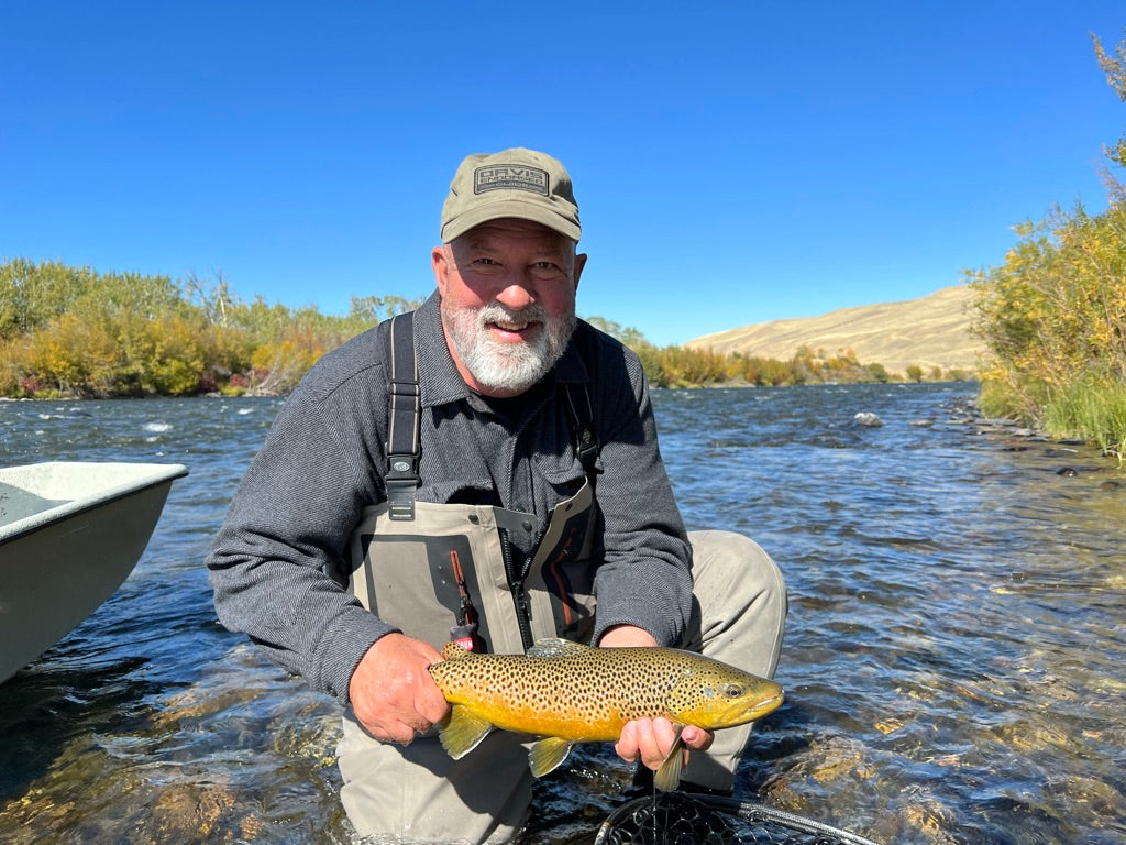 Madison River Brown Trout in Montana
