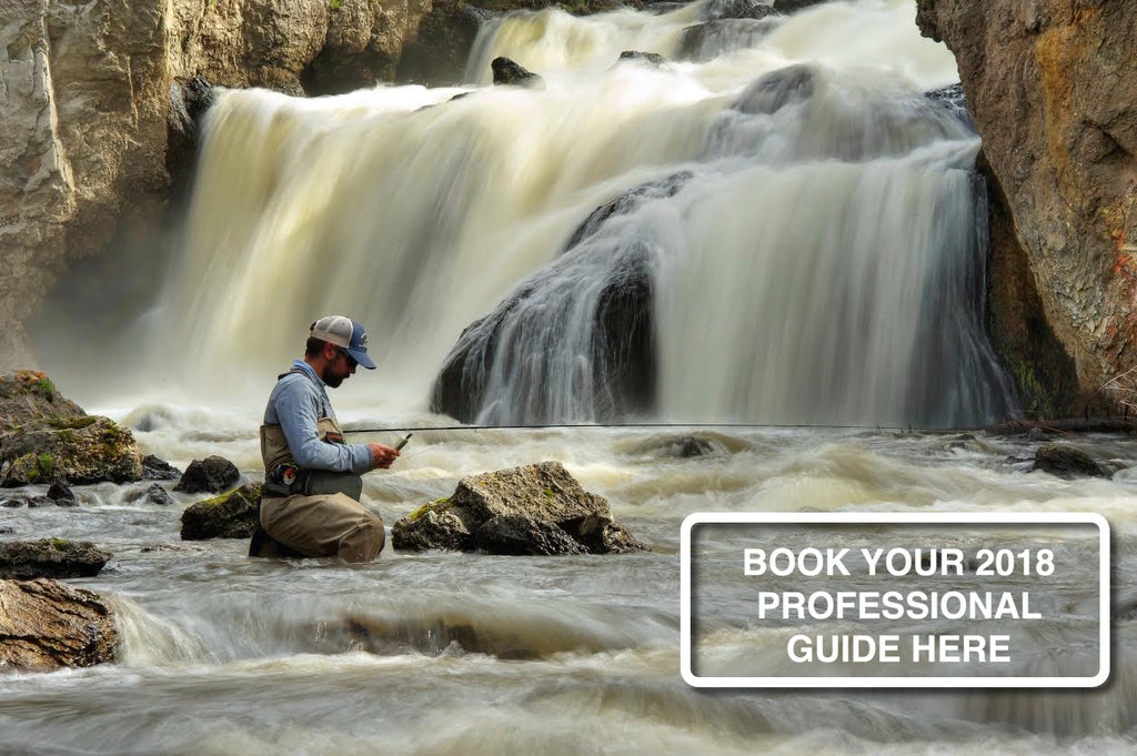 Book your Professional Guide Fly Fishing Trip Now For 2018