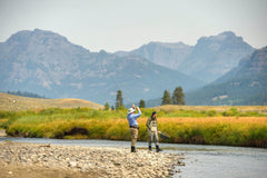 Madison River Fishing Report - Yellowstone National Park