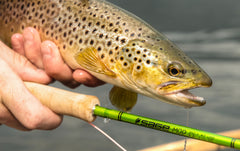 Fly Fishing Gear Reviews