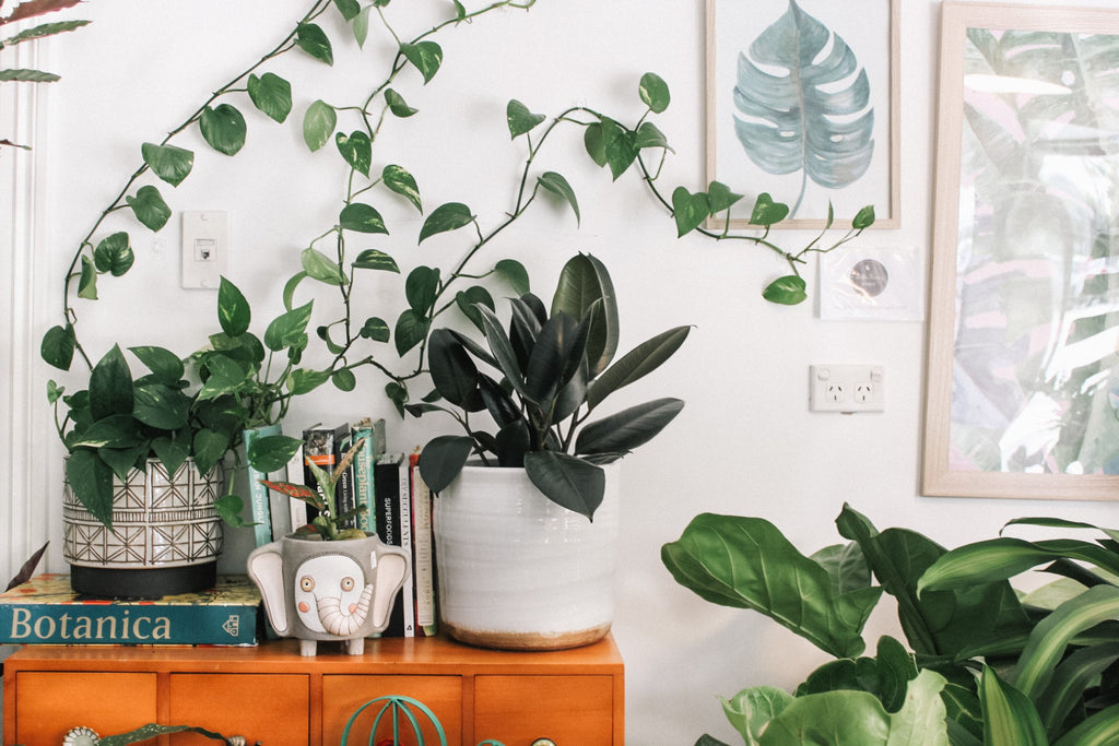 A wooden dresser with decorative houseplants and wall art