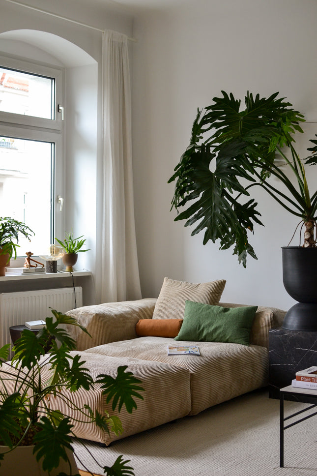A clean, minimal living room with a corner sofa and decorative houseplants