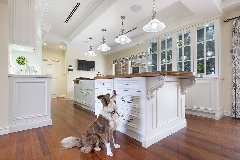 A clean, spacious kitchen decorated in the transitional style, with a dog