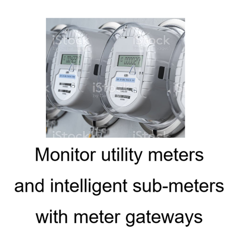 Monitor utility meters and intelligent sub-meters with meter gateways