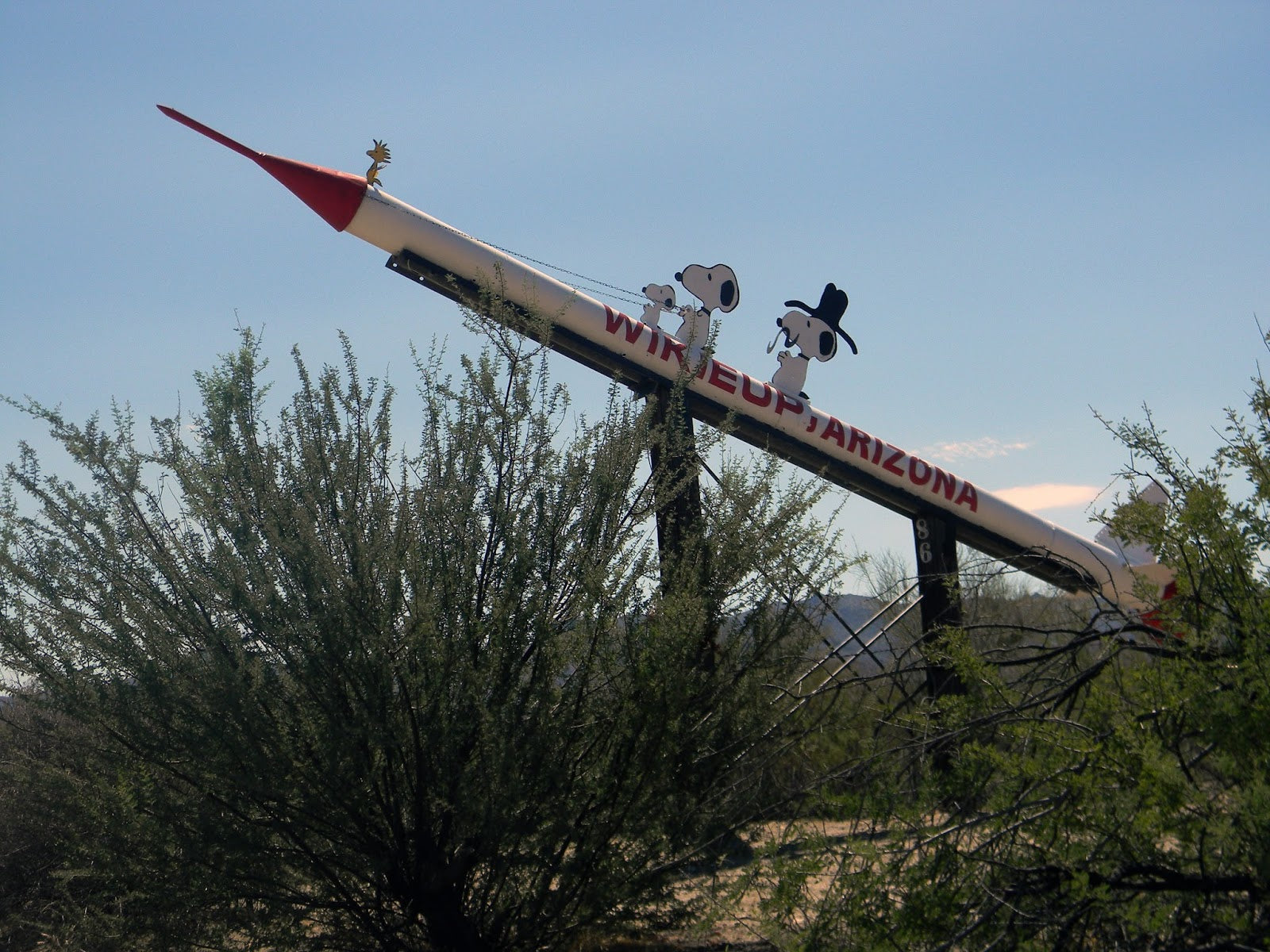 Wikieup Arizona desert rocket peanuts trust no one retail store