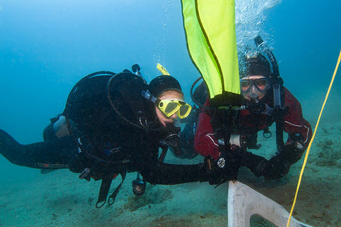 Search and Recovery divers on anchor.