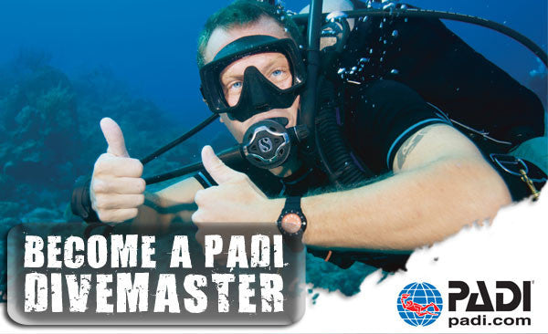 Padi Divemaster Beach Cities Scuba Centers