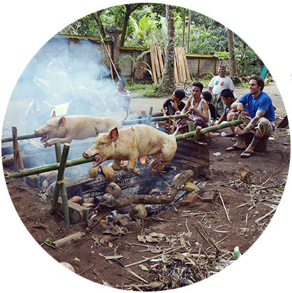 makers travelers lombok pig roast ceremony suckling babi guling
