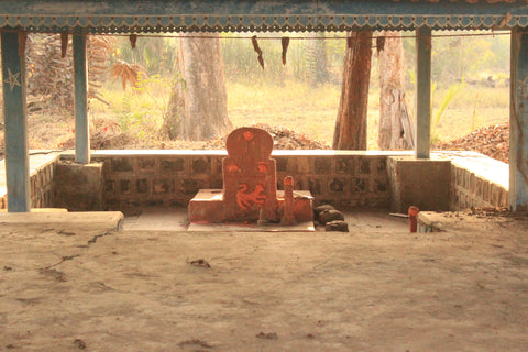 Temple for Wagh devta
