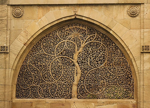 Marble Jaali Window, Sidi Saiyyed Mosque