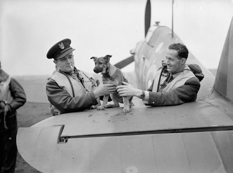 The Polish Pilots Who Flew In The Battle Of Britain!