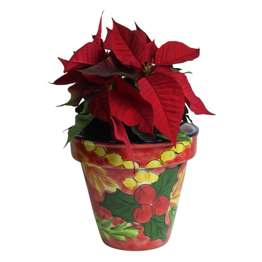 Spanish Holiday Pot - Holly!