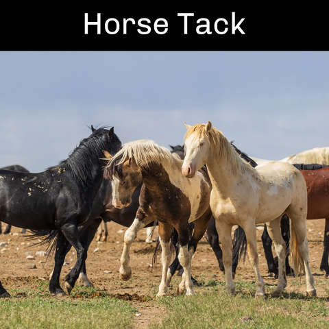 Horse Tack