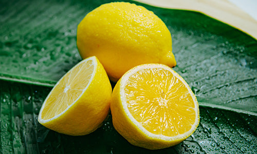 lemon essential oil shampoo