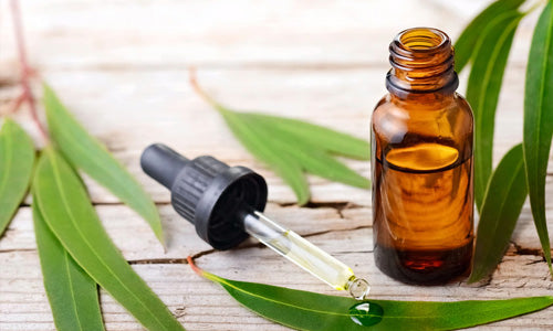 shampo olio essenziale eucalipto