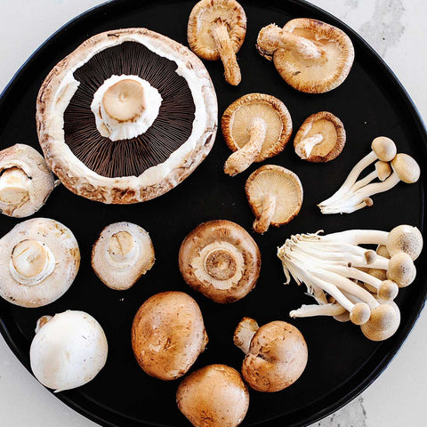 plate of different mushrooms