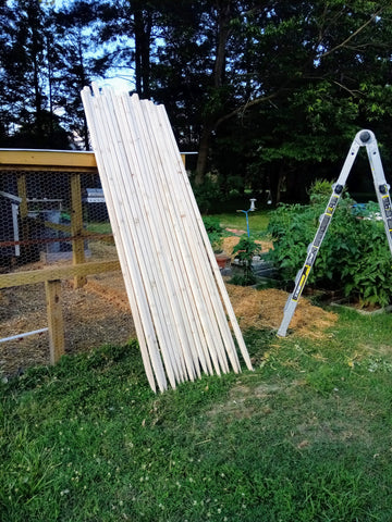 Wooden Stakes in Garden - JM Construction