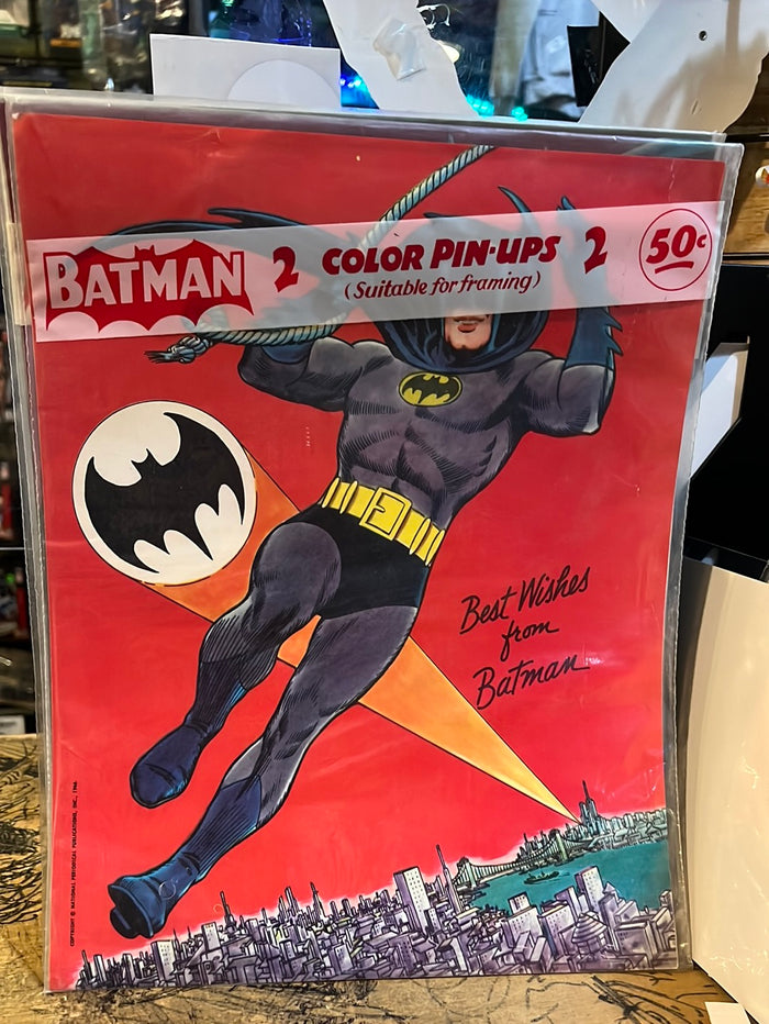 Batman 2 Color Pin-Ups : Batman / Riddler Sealed (1966) – Fun Box Monster  Emporium