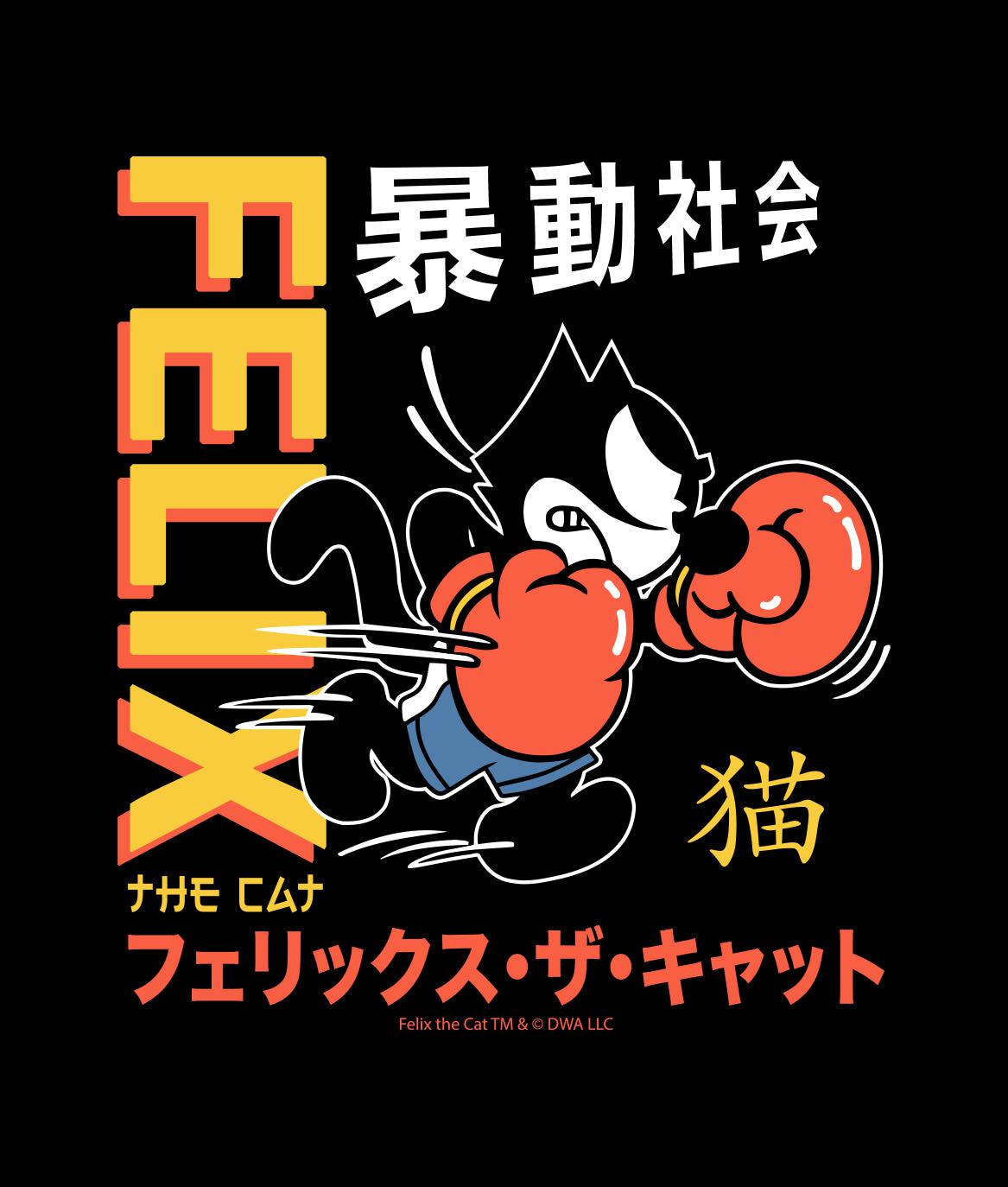 Felix the Cat Boxing Kanji Womens Tee - S - Riot Society