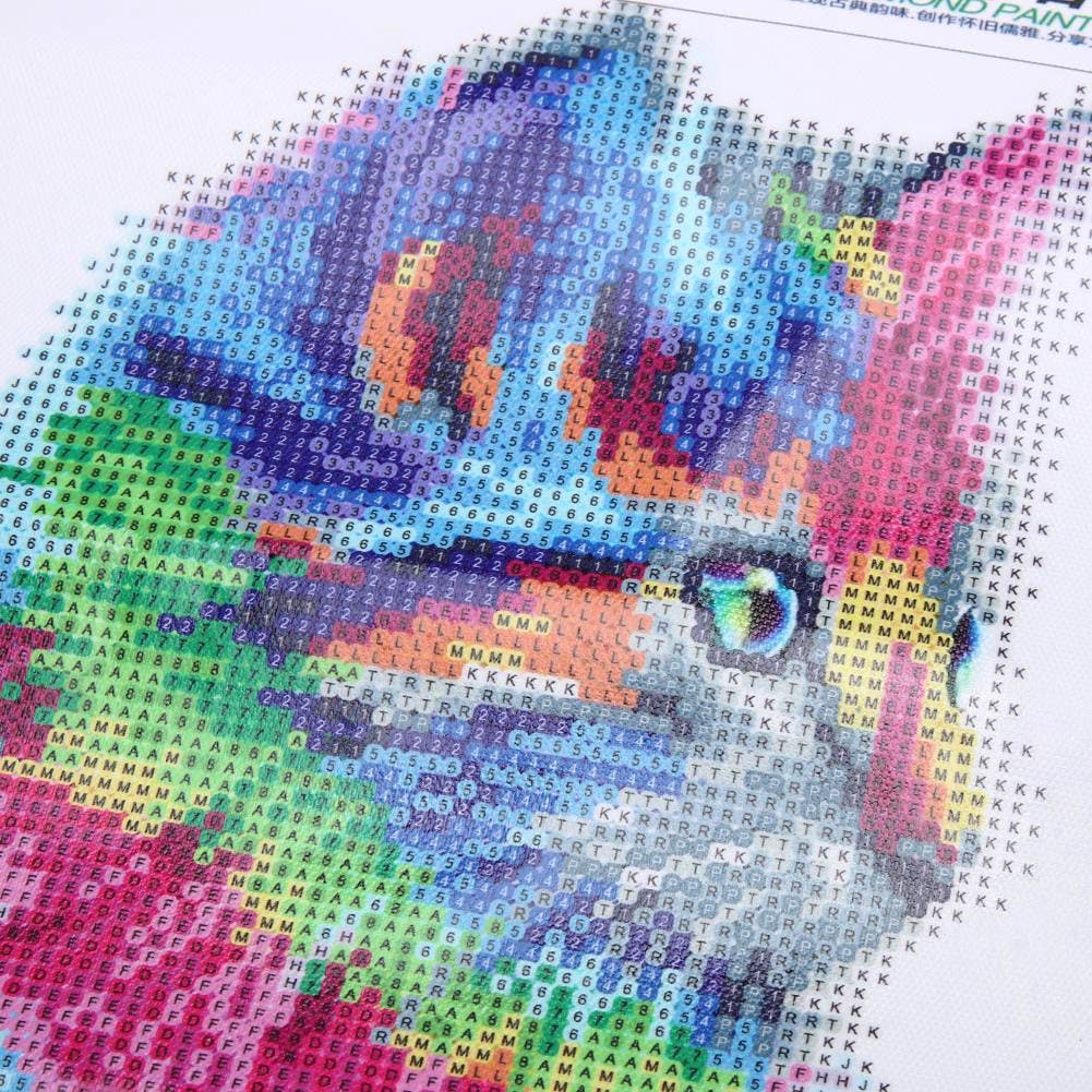 Chaton Arc En Ciel Kit Broderie Diamant 30x30 A 50x50 Cm Brodeuses Com