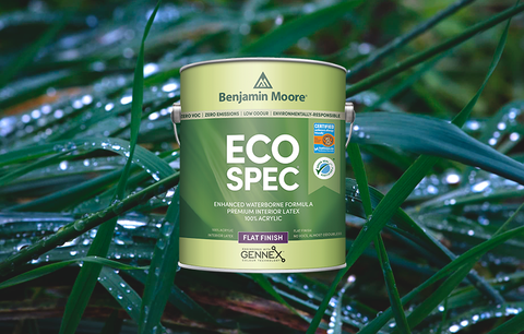 Benjamin Moore's Eco-Friendly Paint Options - Embrace Sustainability this Fall