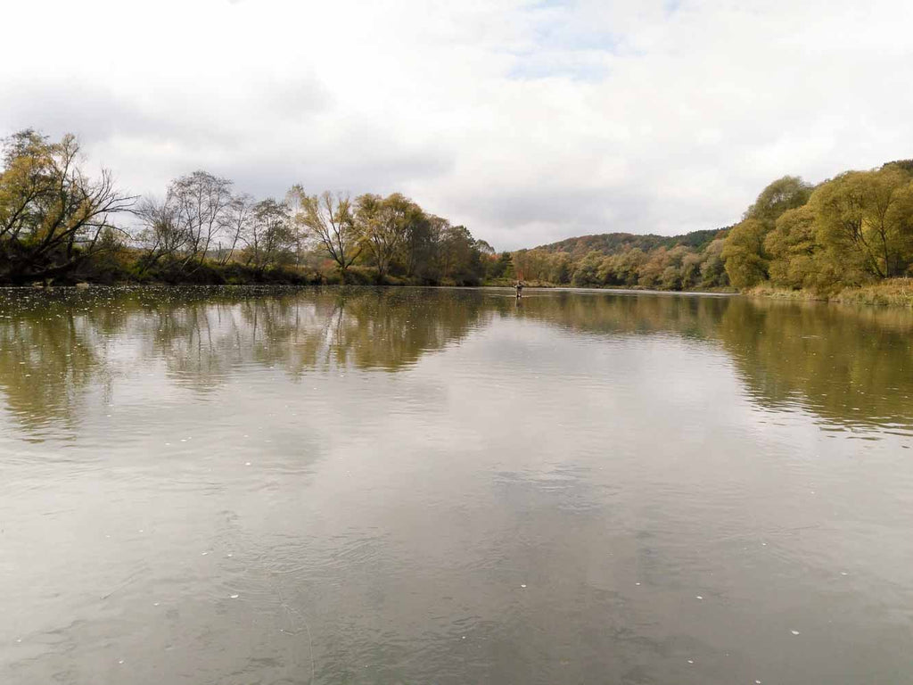 Trout fishing heaven