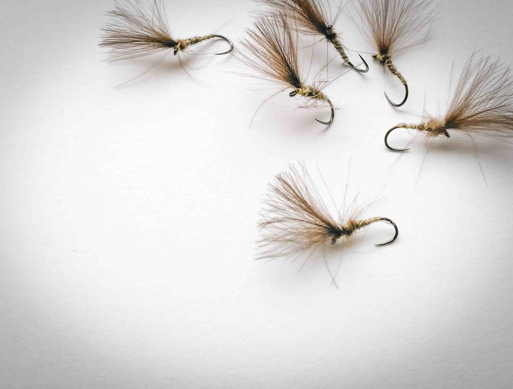 Jeremy Lucas plume tip dry fly