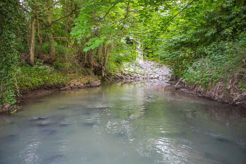 Fiume Yarrow nel Lancashire pesca a mosca per la trota