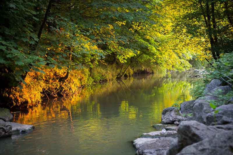 Luce della sera su un fiume di trote selvatiche