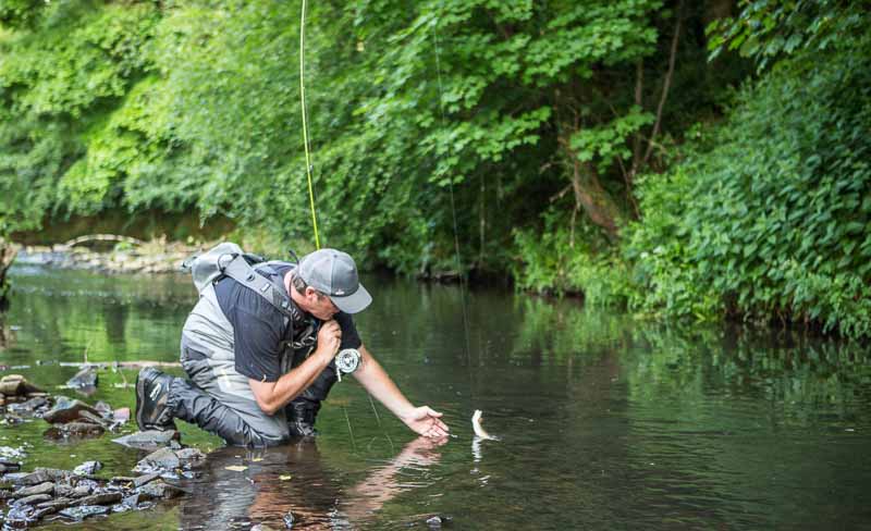 Tom Bell porta a portata di mano una trota selvatica con la mosca secca