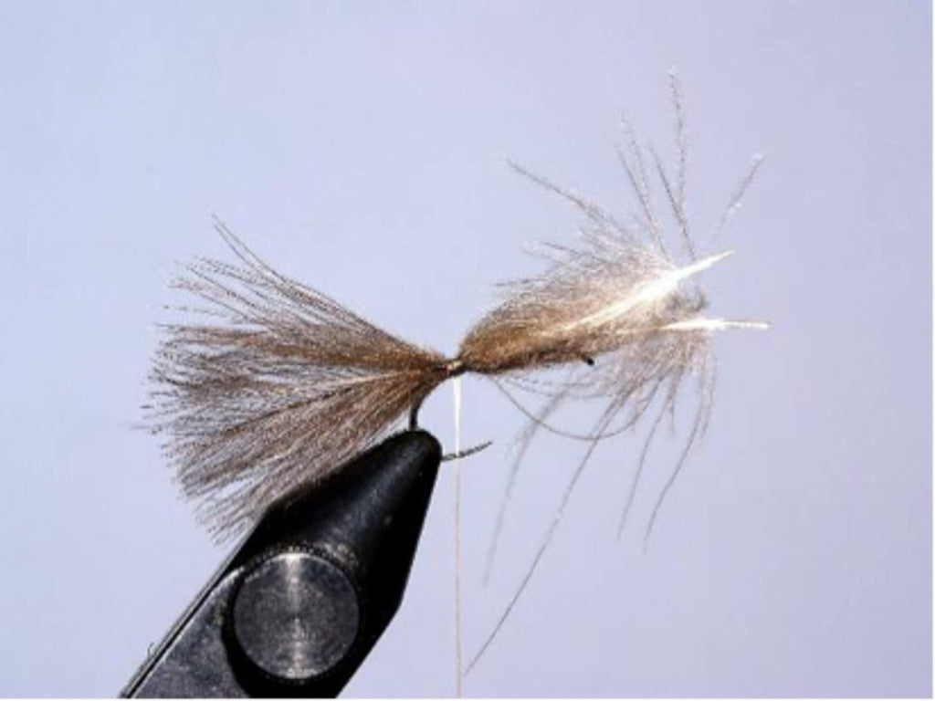 Cdc dry fly by David Southall | Sunray micro thin fly lines.