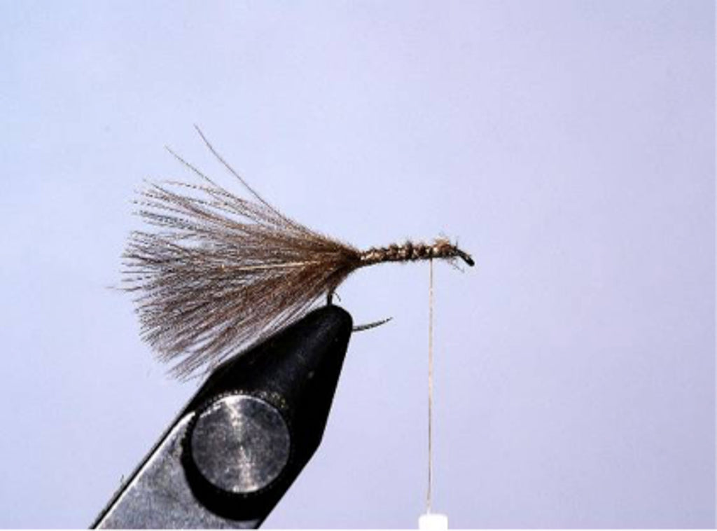 Cdc dry fly by David Southall | Sunray micro thin fly lines.