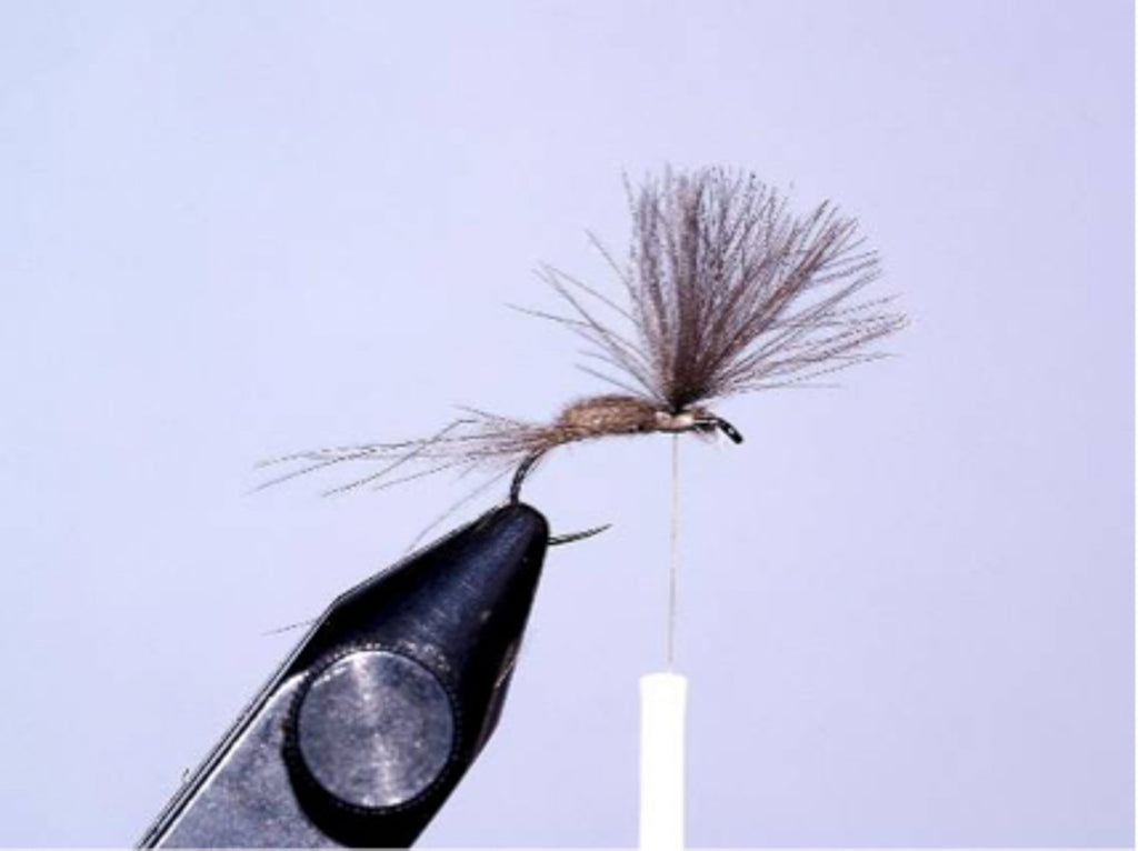 Cdc dry fly by David Southall | Sunray micro thin fly lines.