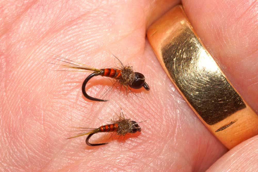 Small Bead-head Nymphs