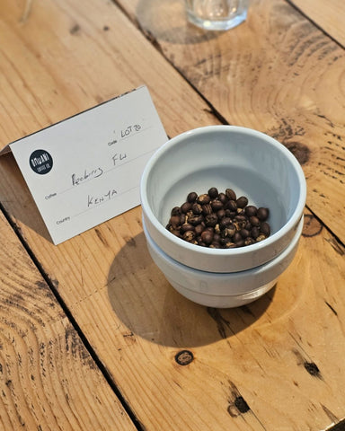 Kenya peaberry sitting in a cupping bowl waiting to be ground.